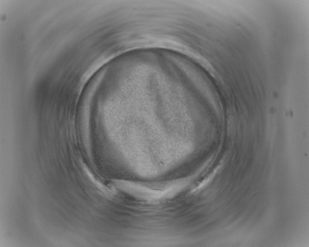 X0000070371513200606301843