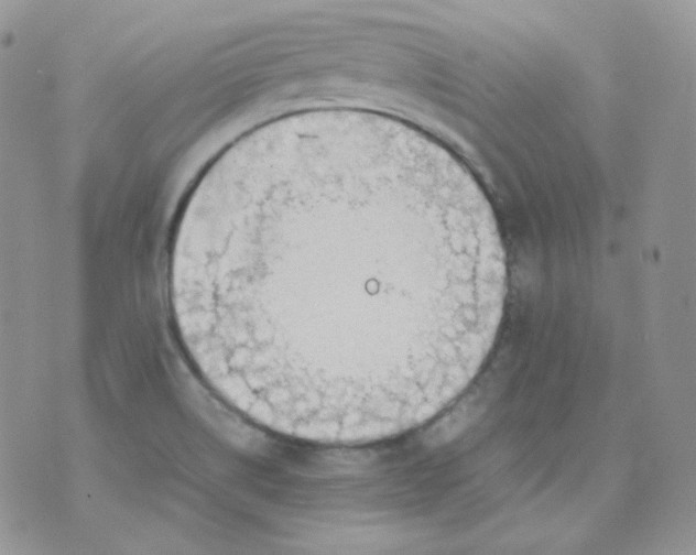 X0000070371514200606301843