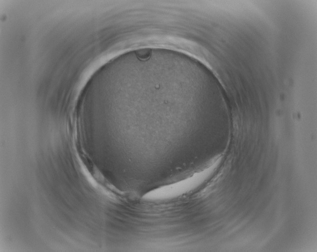 X0000070371515200606301843