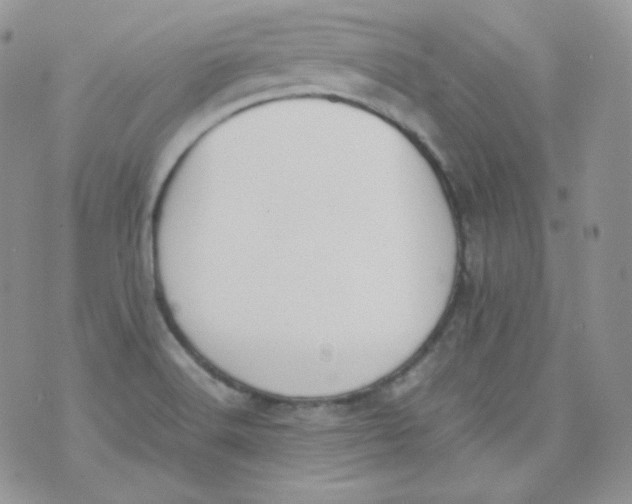 X0000070371516200606301843