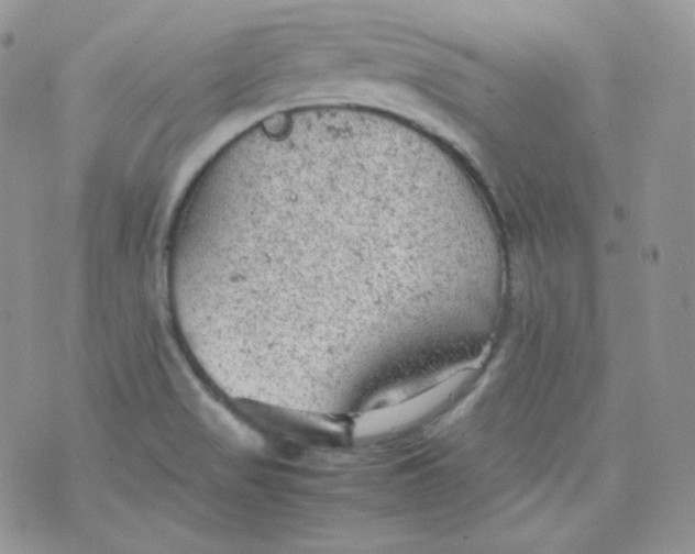 X0000070371517200606301843