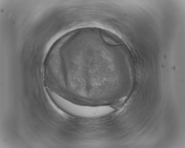 X0000070371519200606301843