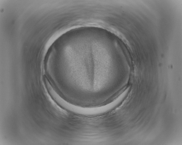 X0000070371520200606301843