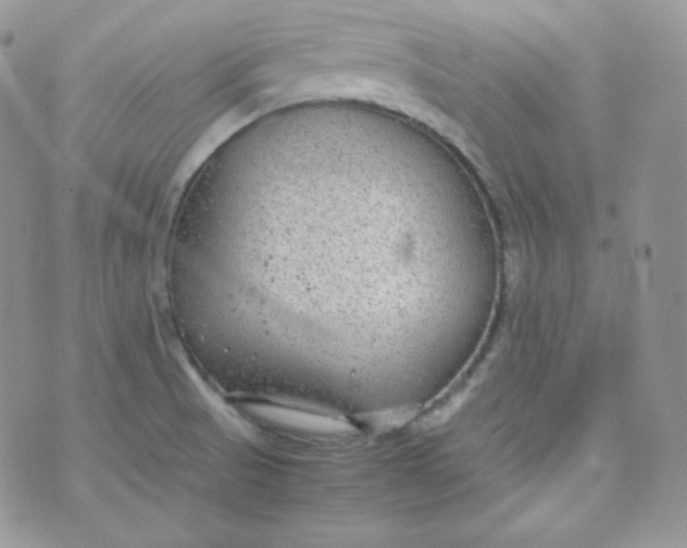 X0000070371521200606301843