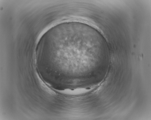 X0000070371522200606301843