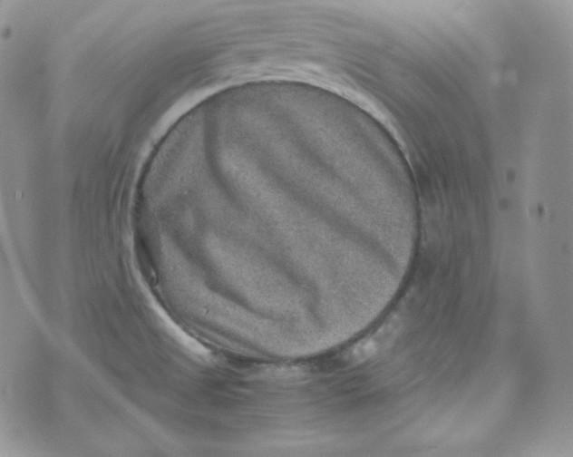 X0000070371525200606301843