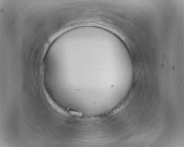 X0000070371526200606301843