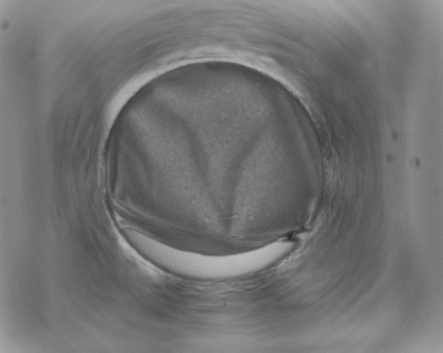 X0000070371527200606301843