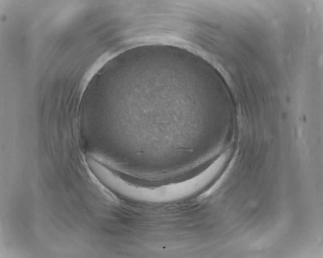 X0000070371529200606301844