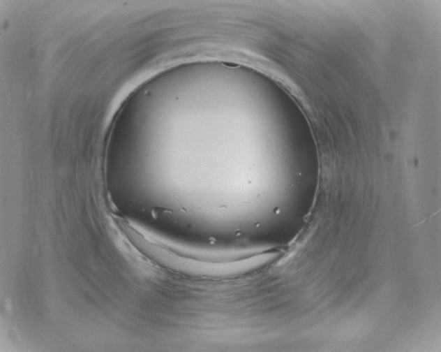 X0000070371530200606301844