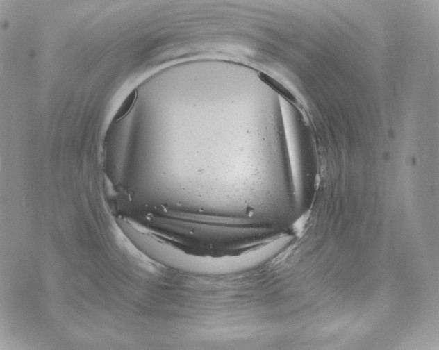 X0000070371532200606301844