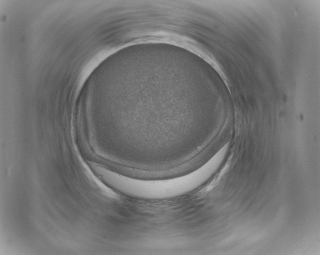 X0000070371533200606301844