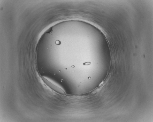 X0000070371534200606301844