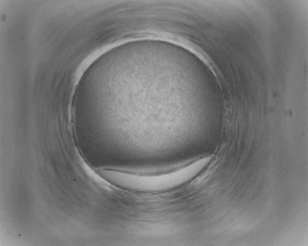 X0000070371535200606301844