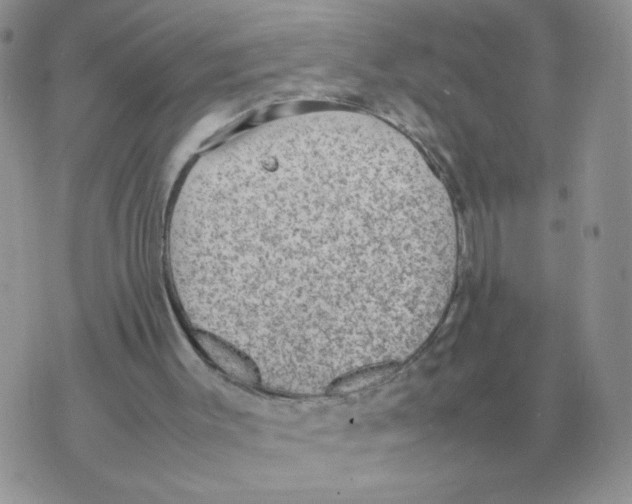 X0000070370003200607072140