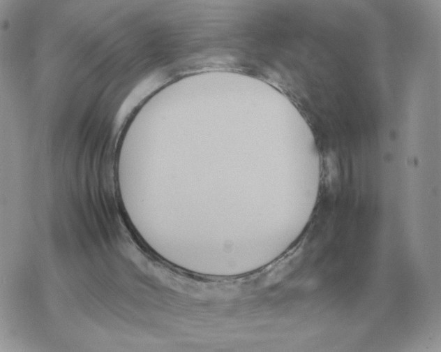 X0000070370004200607072140