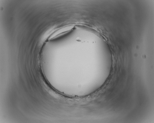 X0000070370005200607072140