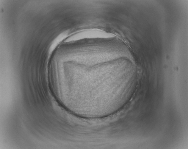 X0000070370006200607072140