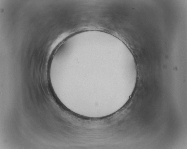 X0000070370008200607072140