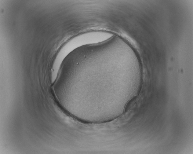 X0000070370009200607072140