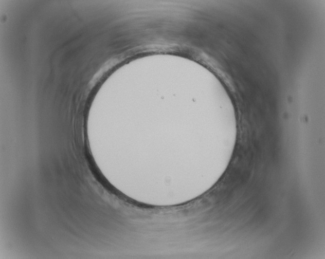 X0000070370011200607072140