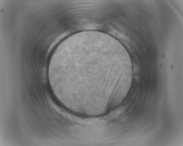 X0000070370012200607072140