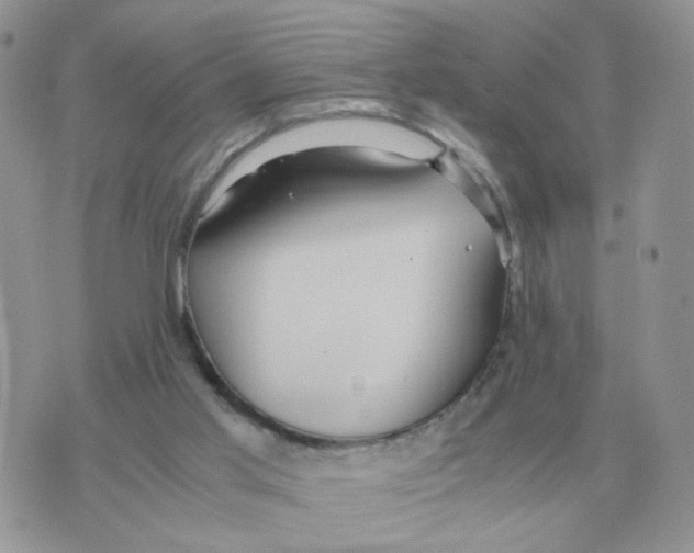 X0000070370013200607072140