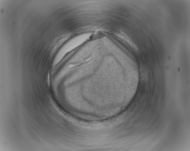 X0000070370014200607072140