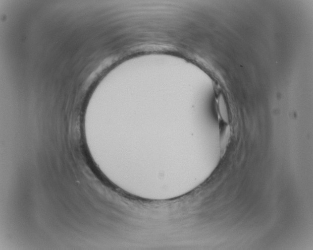 X0000070370015200607072140