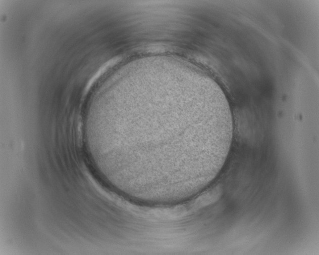 X0000070370016200607072140