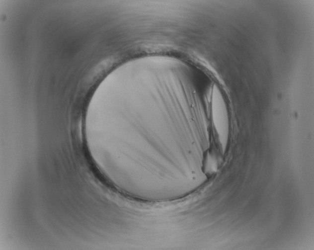 X0000070370019200607072140