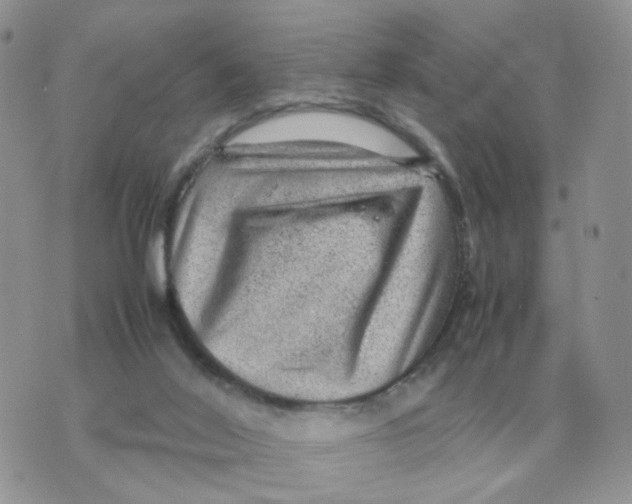 X0000070370020200607072140