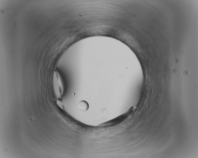 X0000070370021200607072140