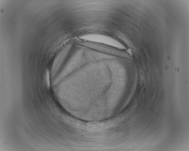 X0000070370022200607072140