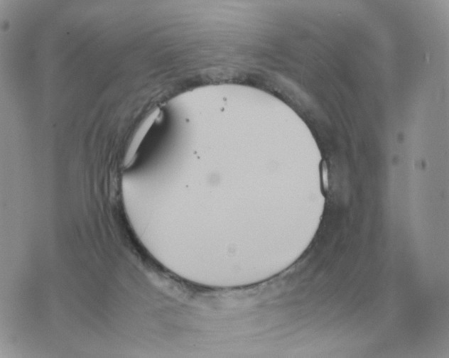 X0000070370025200607072140