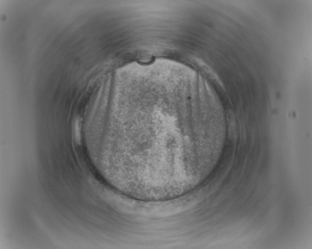 X0000070370026200607072140