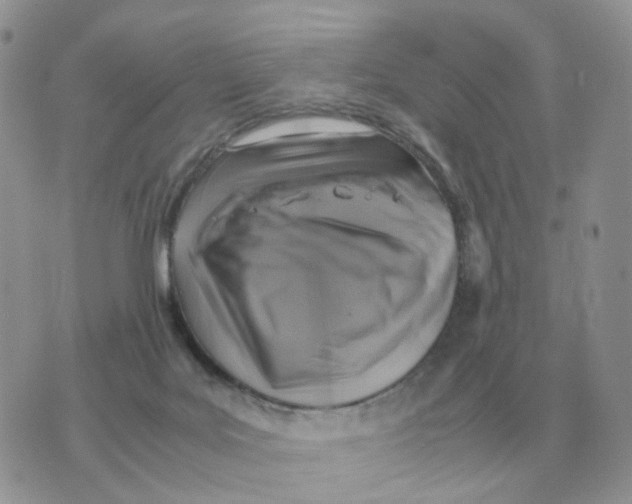 X0000070370027200607072140