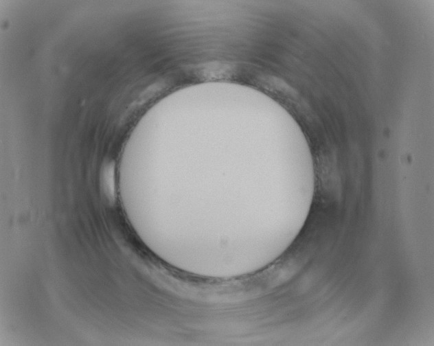 X0000070370028200607072139