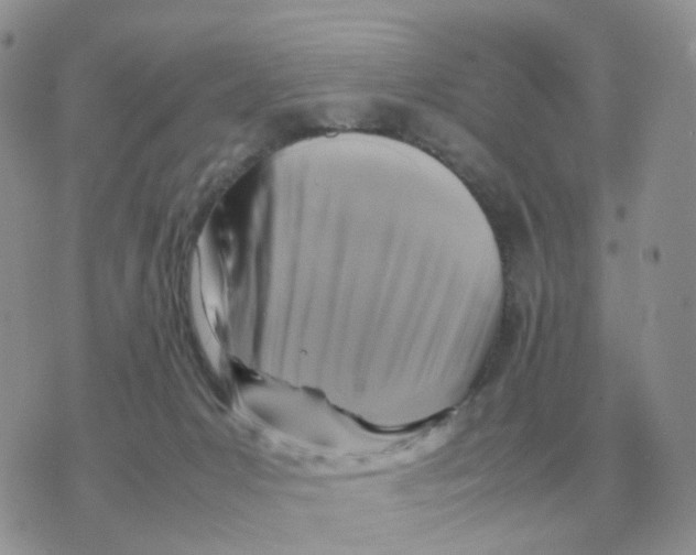 X0000070370031200607072139