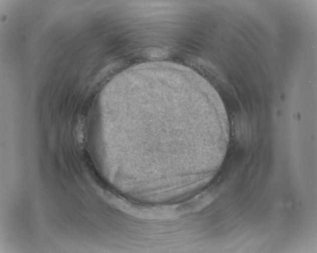 X0000070370032200607072139