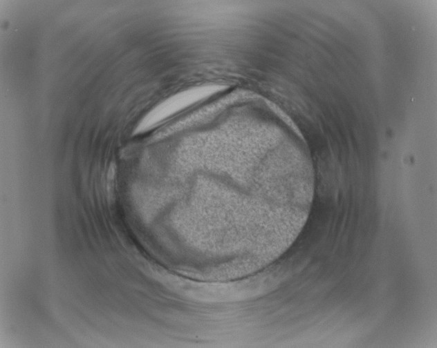 X0000070370034200607072139