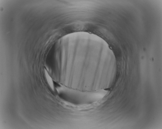 X0000070370035200607072139