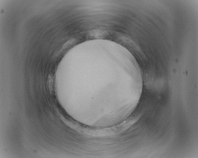 X0000070370036200607072139