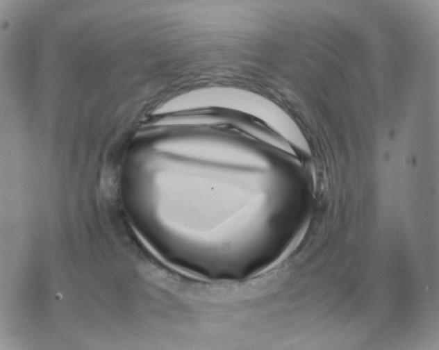 X0000070370037200607072139