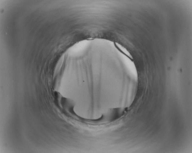 X0000070370039200607072139