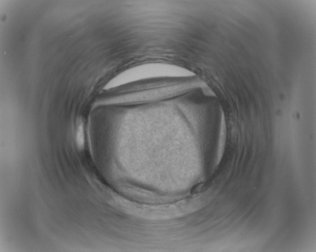 X0000070370042200607072139