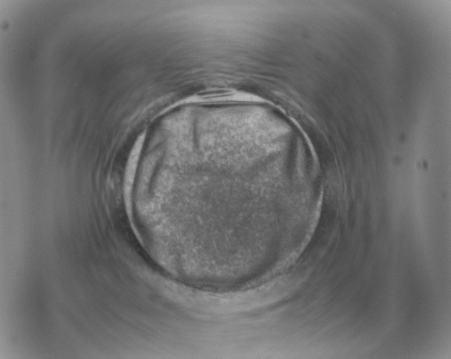 X0000070370043200607072139