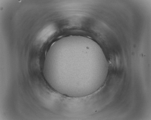 X0000070370045200607072139