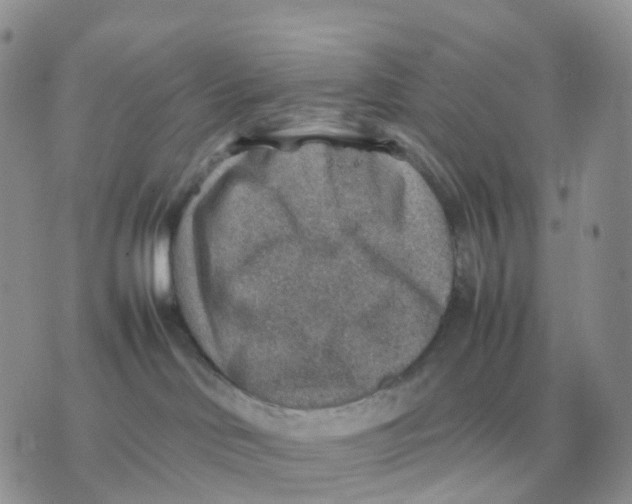 X0000070370046200607072139