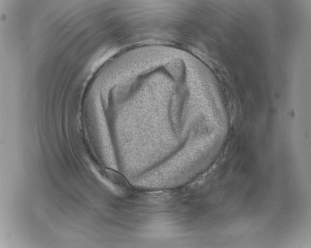 X0000070370050200607072138